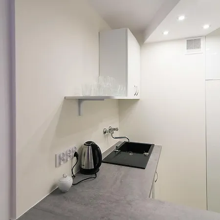 公寓 Centrum Dla 1-4 Os. 华沙